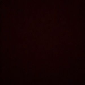 Meet your Posher, Desiree